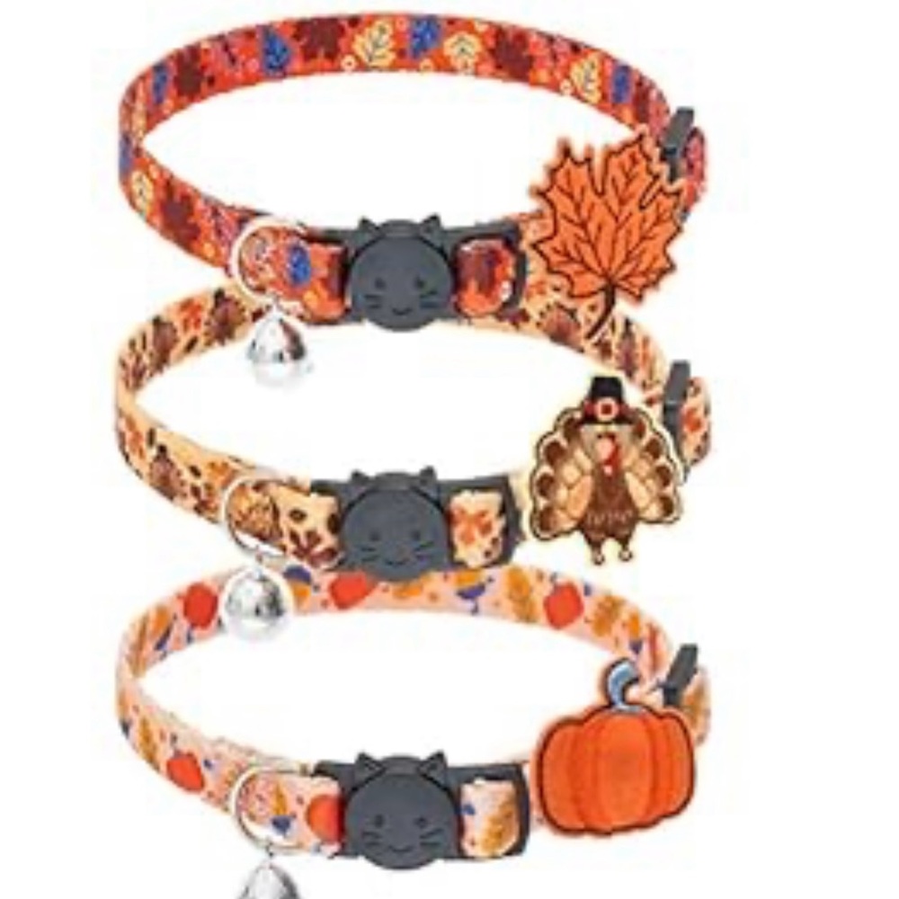 Cat BreakAway Collar